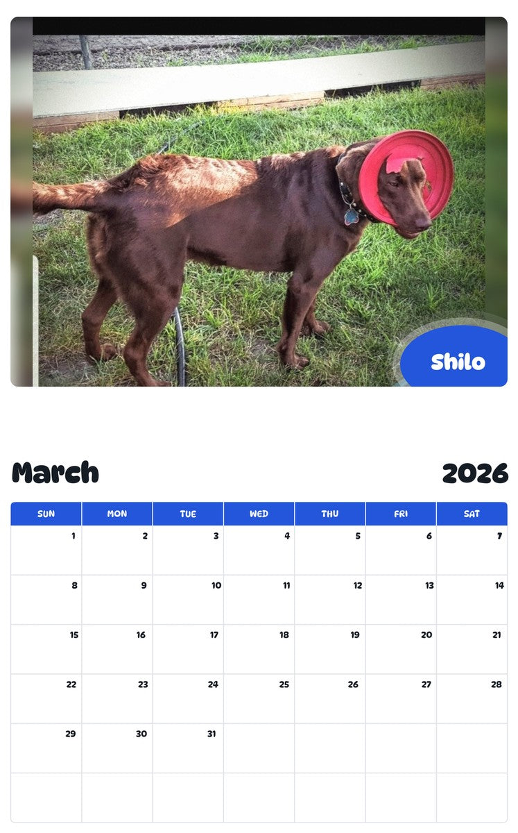 November 2025 - October 2026 Shilo - Pawidols Pet Calendar