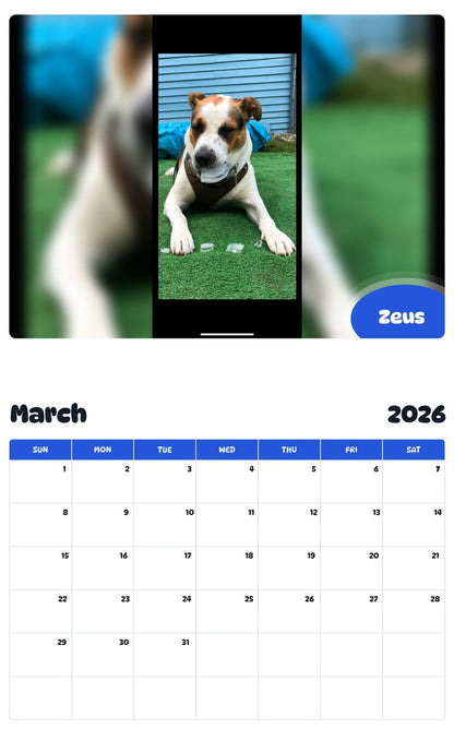 November 2025 - October 2026 Zeus - Pawidols Pet Calendar
