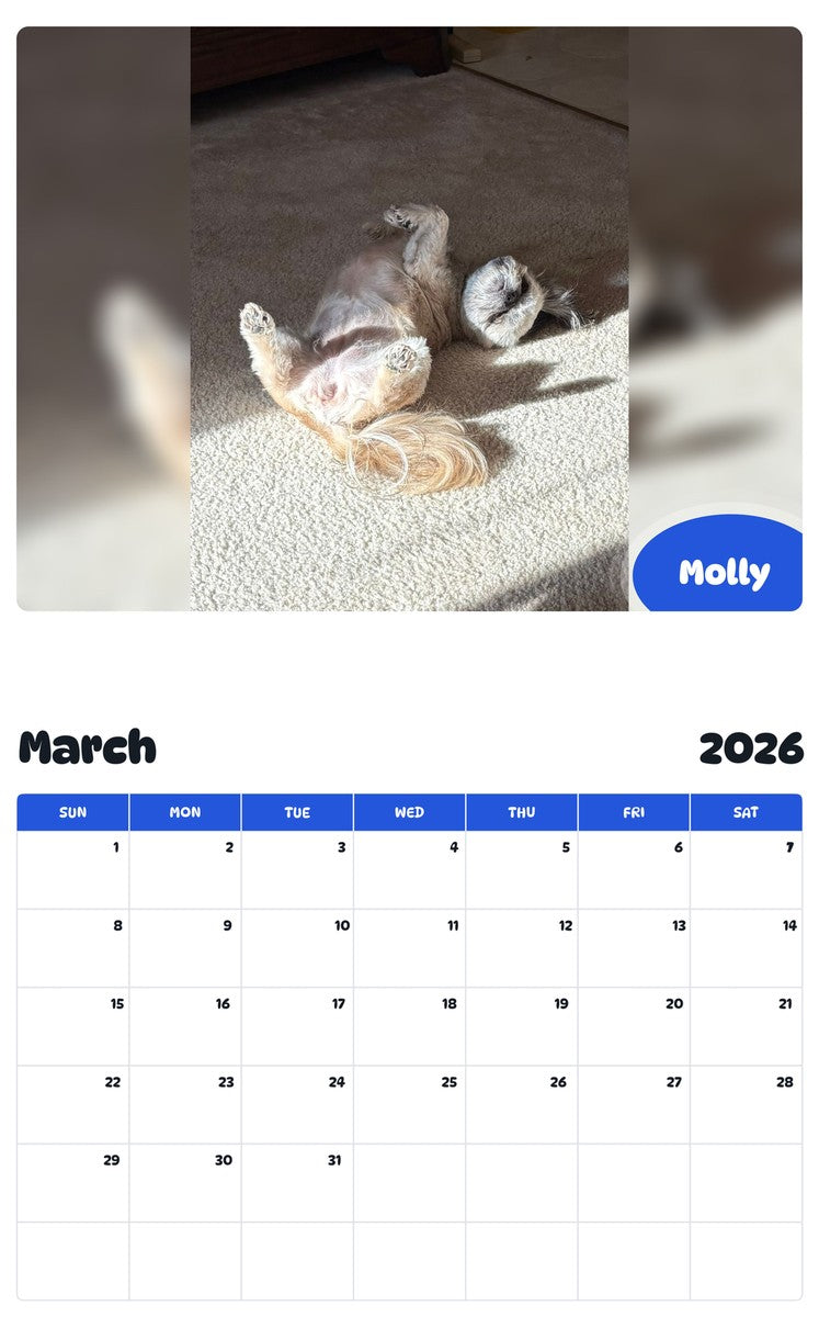 November 2025 - October 2026 Molly - Pawidols Pet Calendar