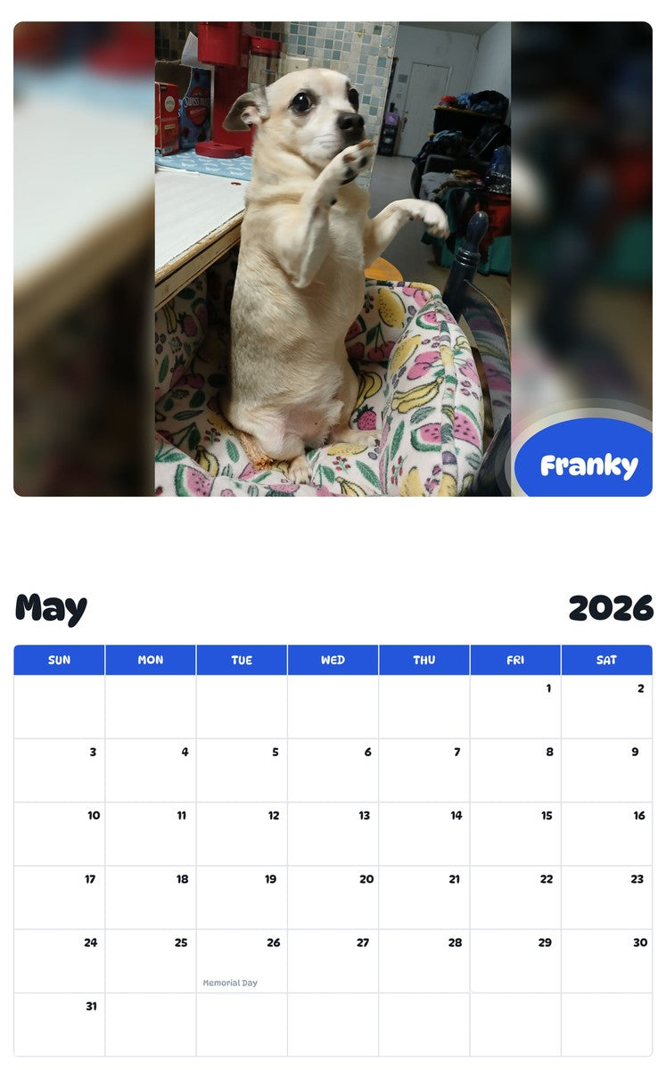2026 - 2027 Franky - Pawidols Pet Calendar