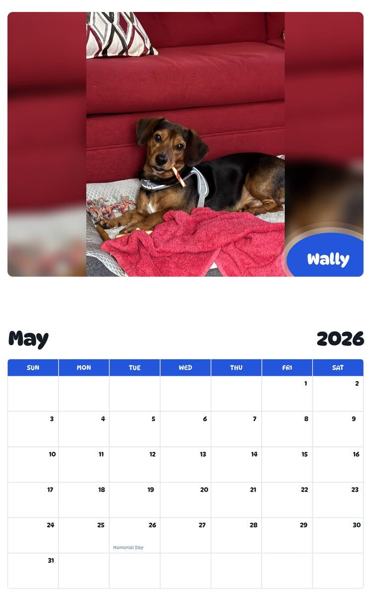 2026 - 2027 Wally - Pawidols Pet Calendar