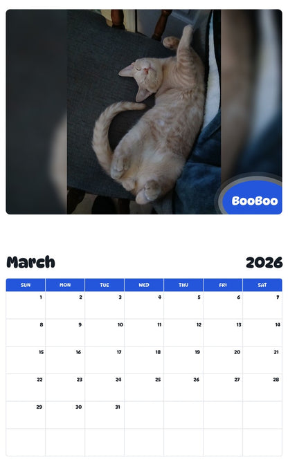 November 2025 - October 2026 BooBoo - Pawidols Pet Calendar