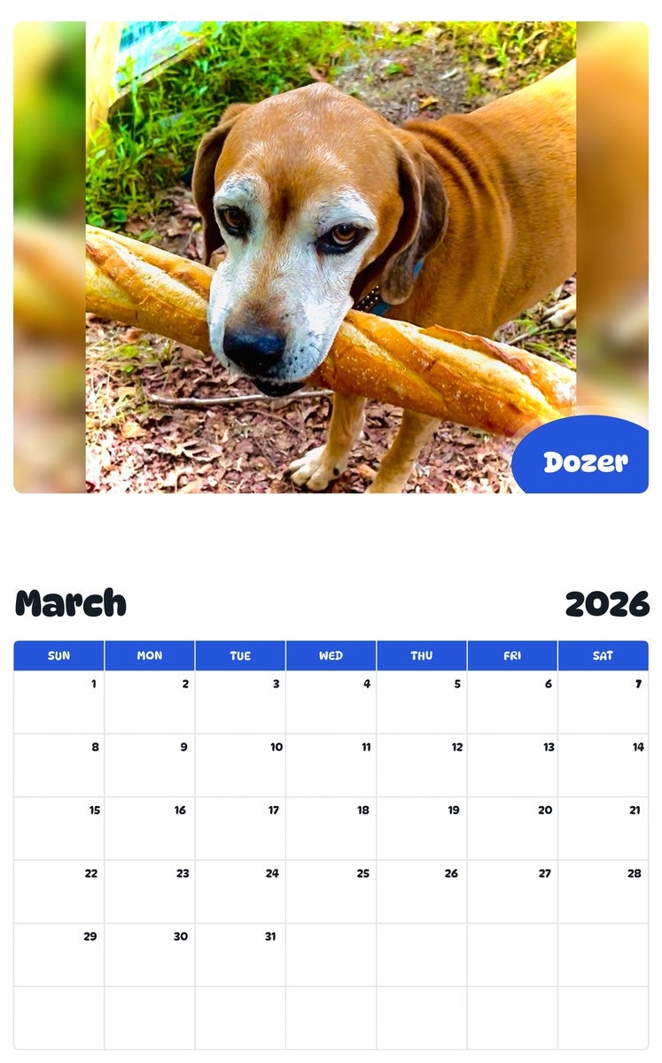 November 2025 - October 2026 Dozer - Pawidols Pet Calendar