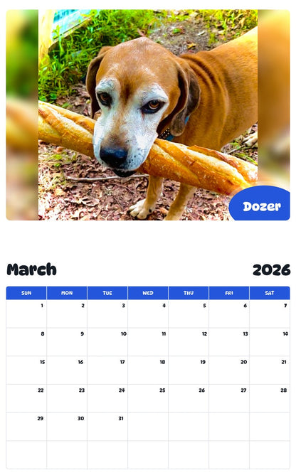 November 2025 - October 2026 Dozer - Pawidols Pet Calendar
