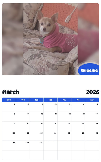 November 2025 - October 2026 Queenie - Pawidols Pet Calendar