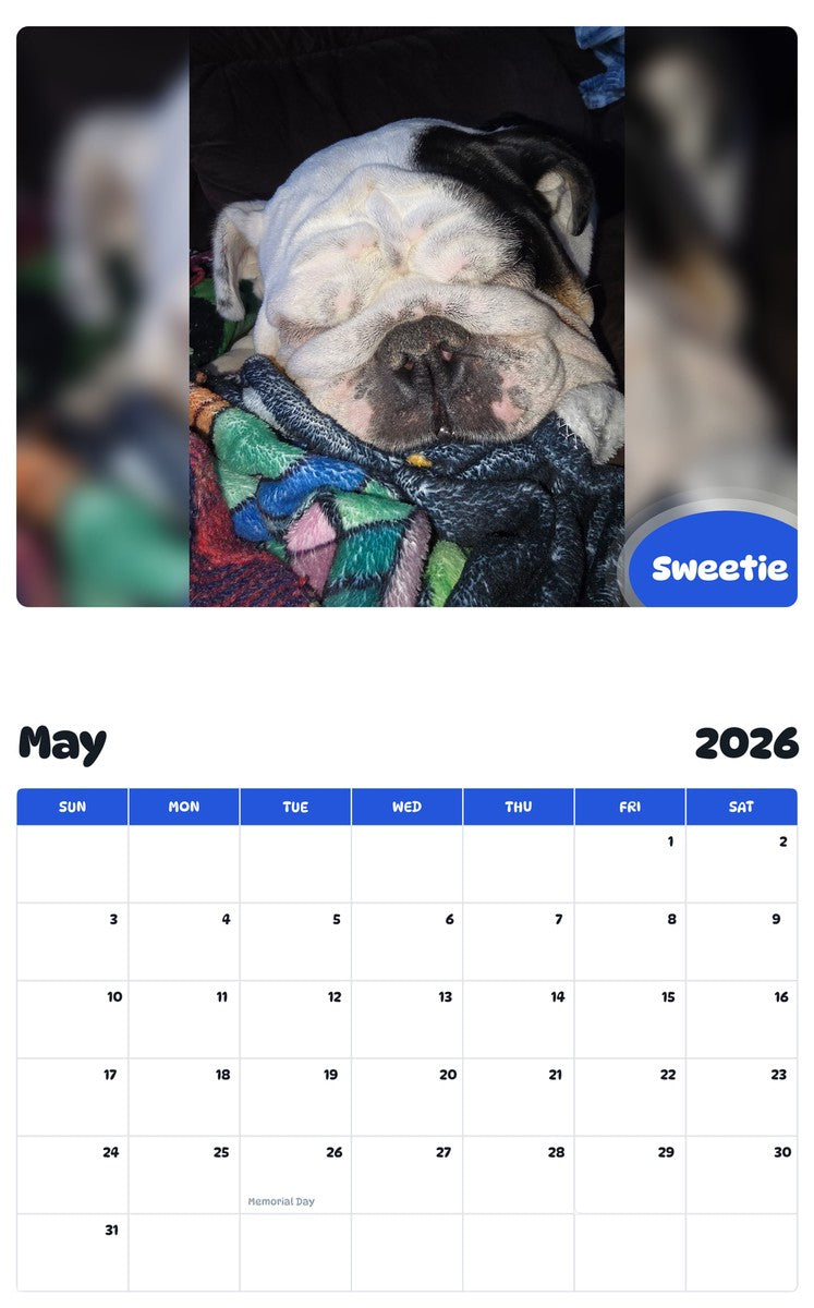 2026 - 2027 Sweetie - Pawidols Pet Calendar
