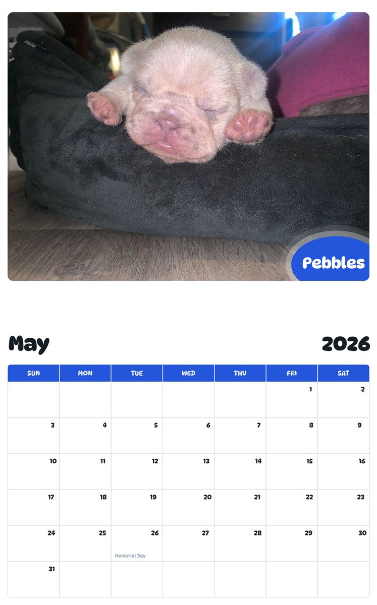 2026 - 2027 Pebbles - Pawidols Pet Calendar