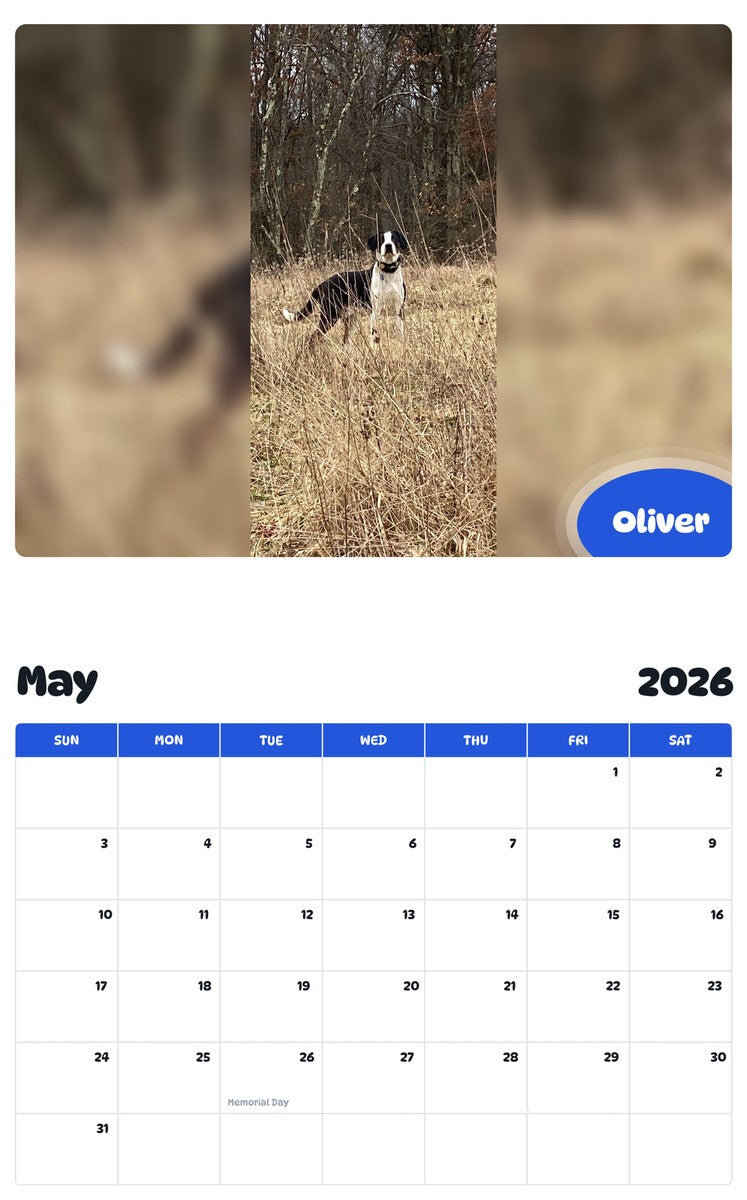 2026 - 2027 Oliver - Pawidols Pet Calendar