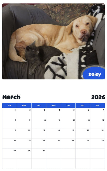 November 2025 - October 2026 Daisy - Pawidols Pet Calendar
