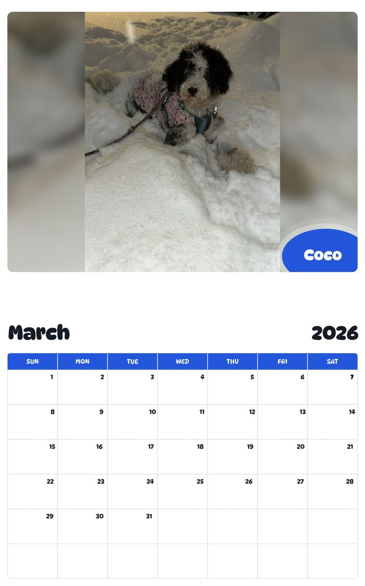 November 2025 - October 2026 Coco - Pawidols Pet Calendar