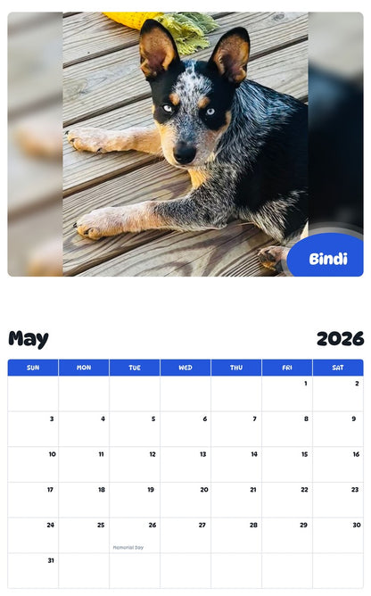 2026 - 2027 Bindi - Pawidols Pet Calendar