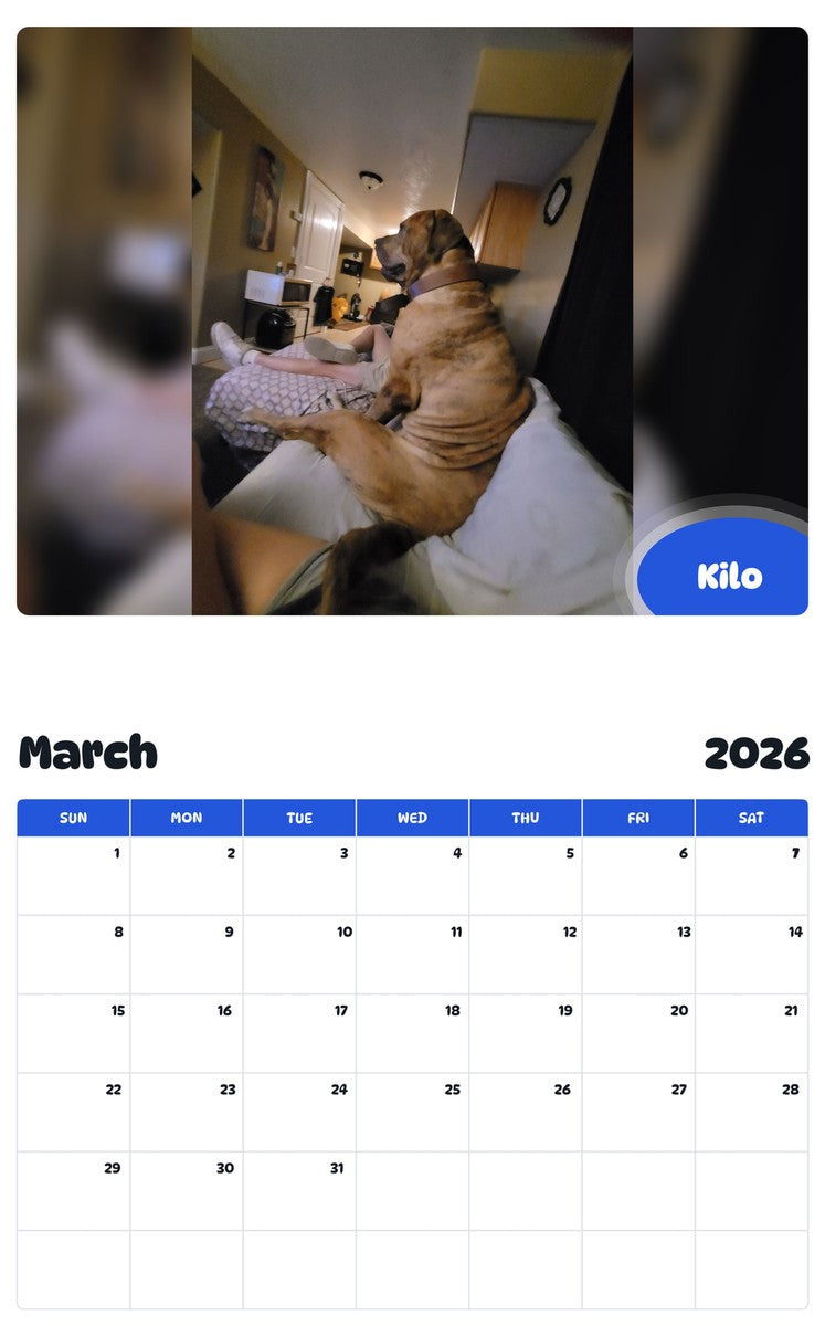 November 2025 - October 2026 Kilo - Pawidols Pet Calendar