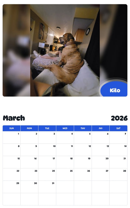 November 2025 - October 2026 Kilo - Pawidols Pet Calendar