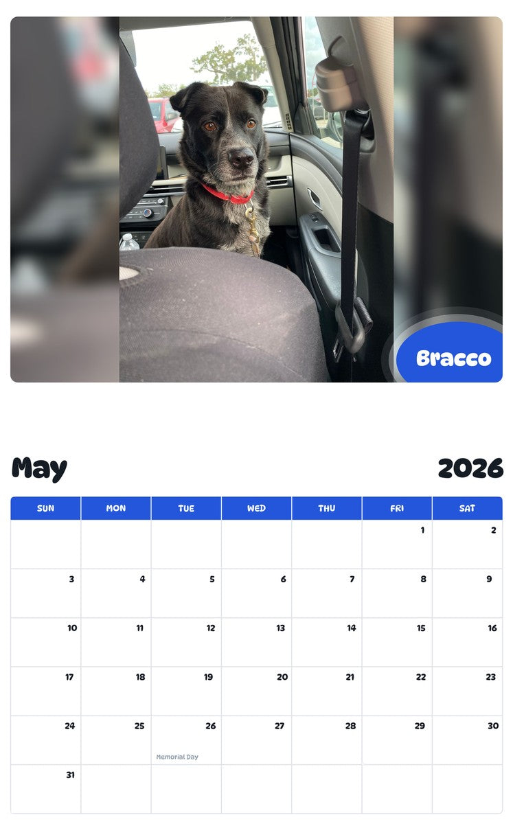 2026 - 2027 Bracco - Pawidols Pet Calendar