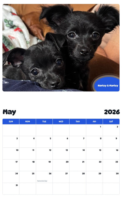 2026 - 2027 Harley & Marley - Pawidols Pet Calendar