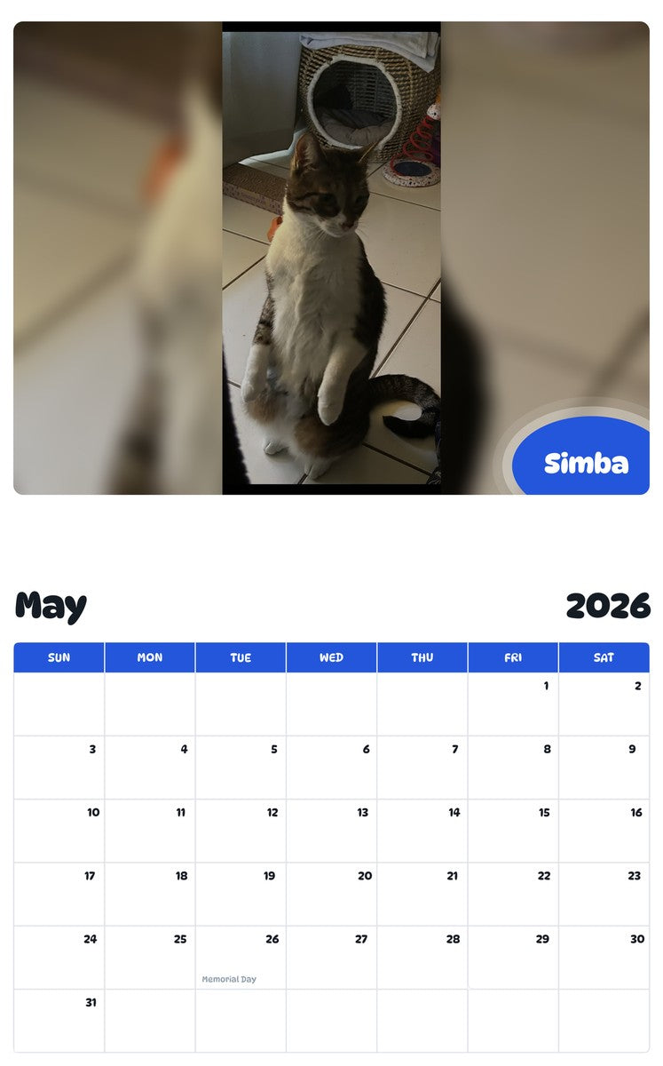 2026 - 2027 Simba - Pawidols Pet Calendar