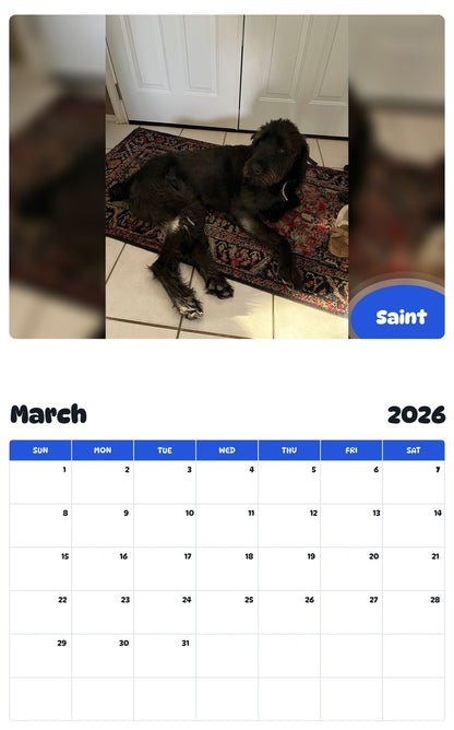 November 2025 - October 2026 Saint - Pawidols Pet Calendar