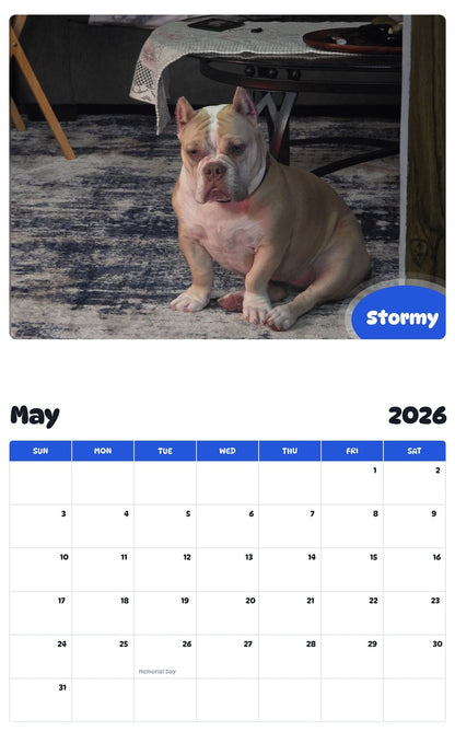 2026 - 2027 Stormy - Pawidols Pet Calendar