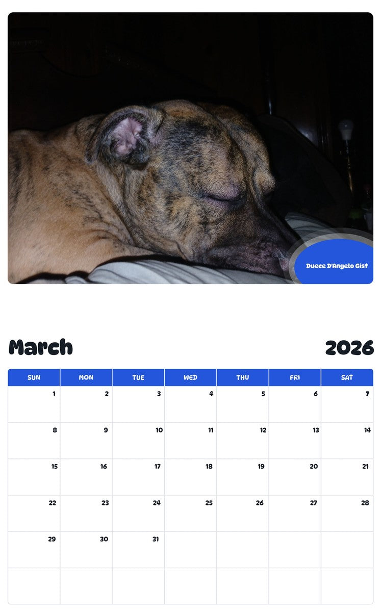 November 2025 - October 2026 Duece D'Angelo Gist - Pawidols Pet Calendar
