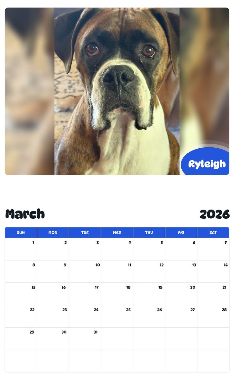November 2025 - October 2026 Ryleigh - Pawidols Pet Calendar