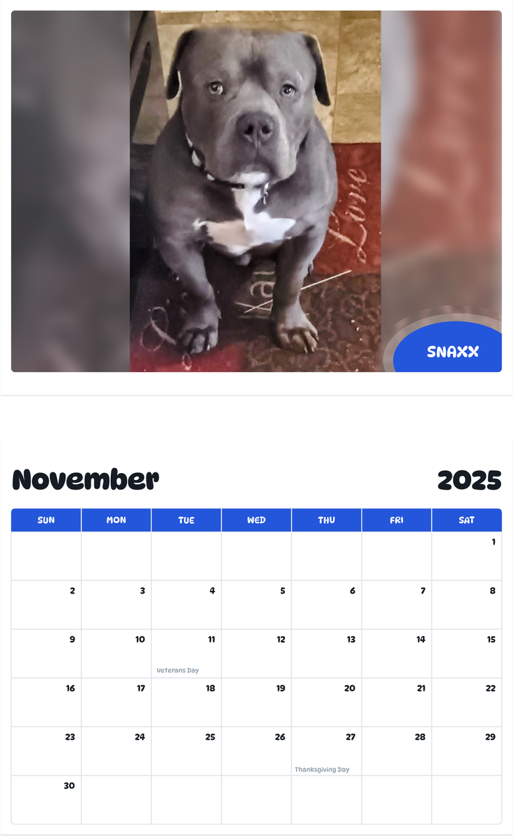 July 2025 - June 2026 Snaxx - Pawidols Pet Calendar