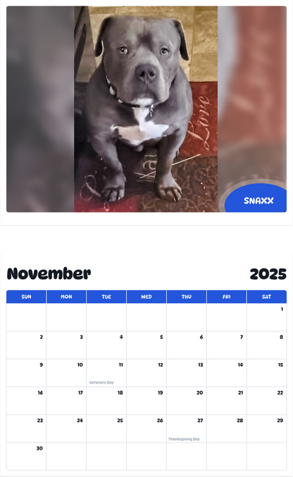 July 2025 - June 2026 Snaxx - Pawidols Pet Calendar