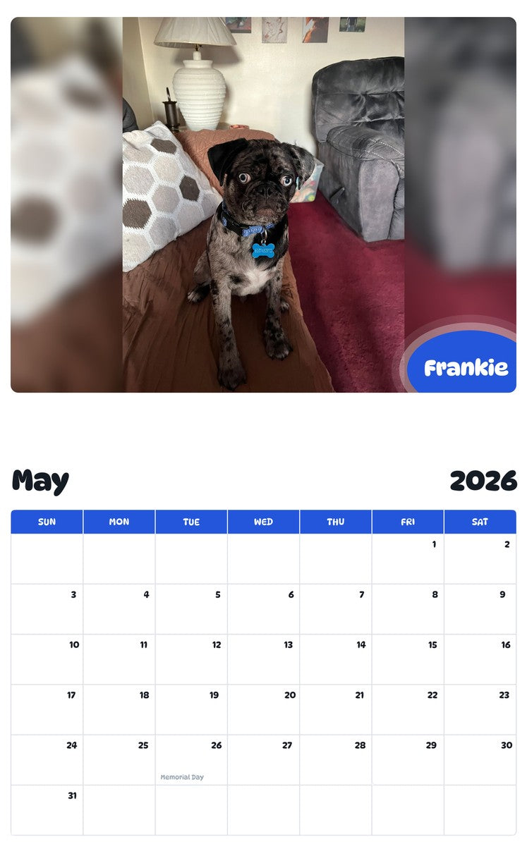 2026 - 2027 Frankie - Pawidols Pet Calendar