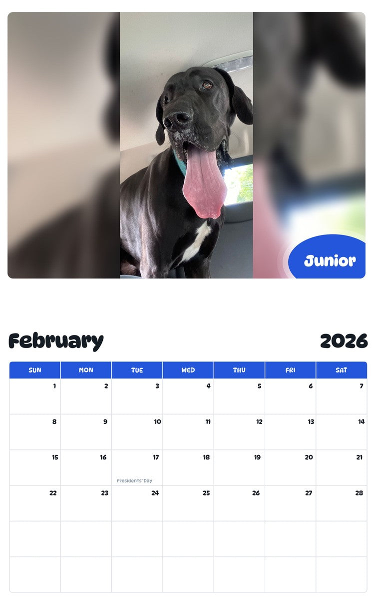October 2025 - September 2026 Junior - Pawidols Pet Calendar
