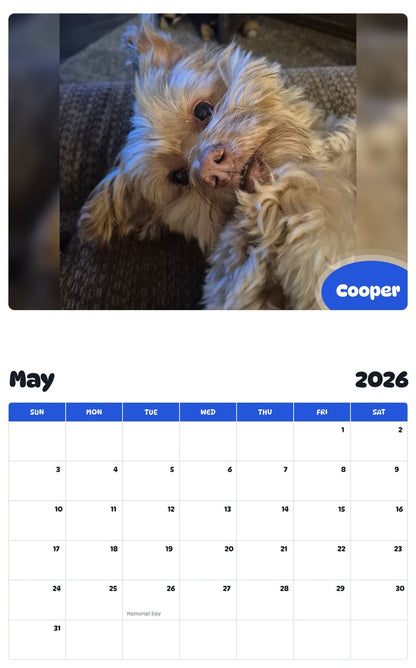 2026 - 2027 Cooper - Pawidols Pet Calendar
