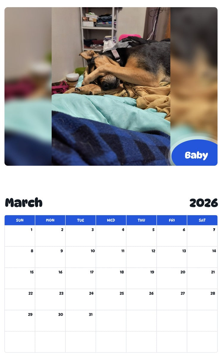 November 2025 - October 2026 Baby - Pawidols Pet Calendar