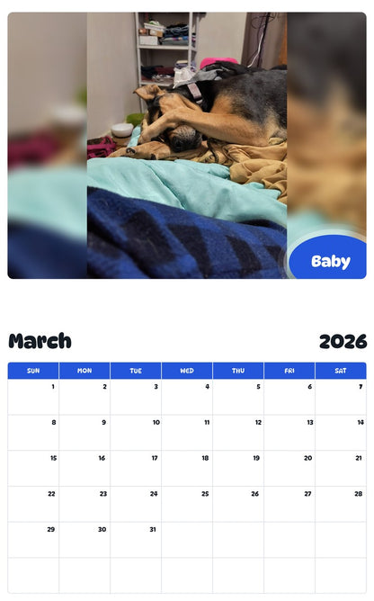 November 2025 - October 2026 Baby - Pawidols Pet Calendar
