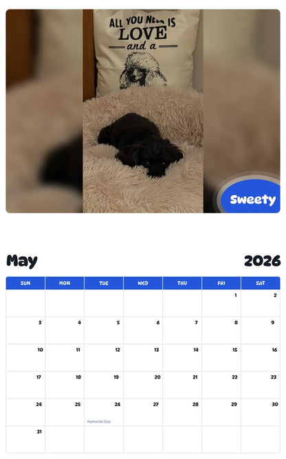 2026 - 2027 Sweety - Pawidols Pet Calendar