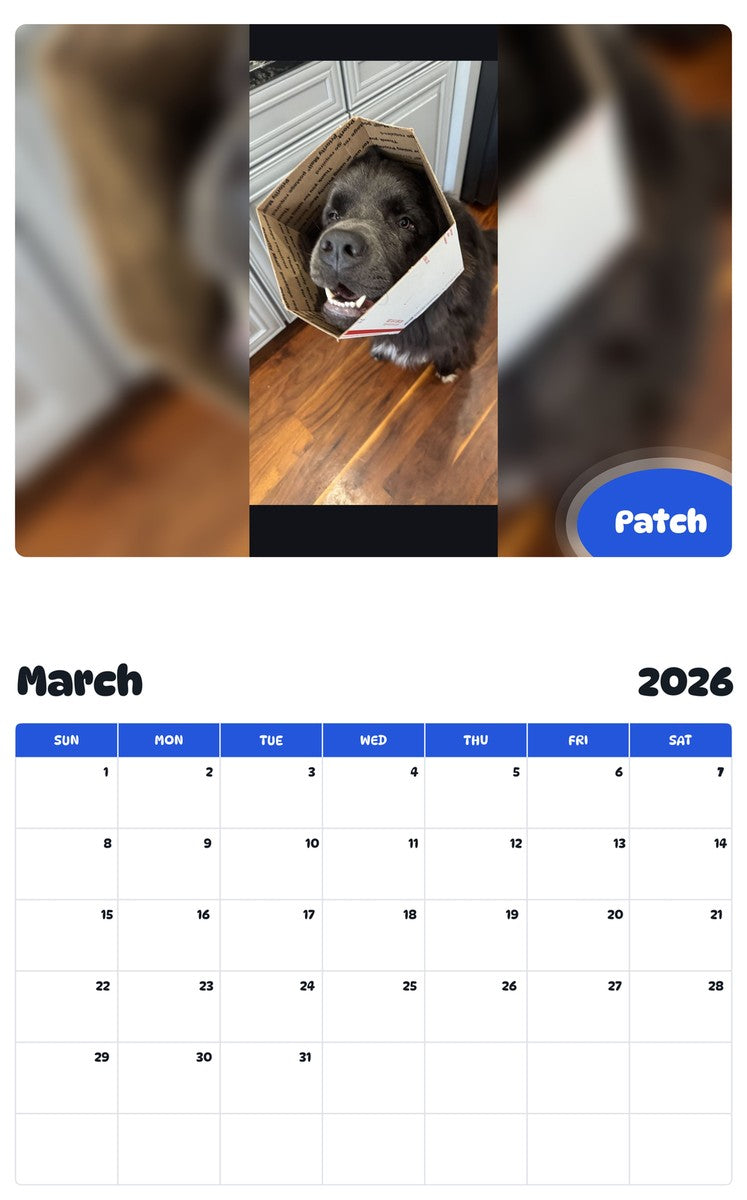 November 2025 - October 2026 Patch - Pawidols Pet Calendar