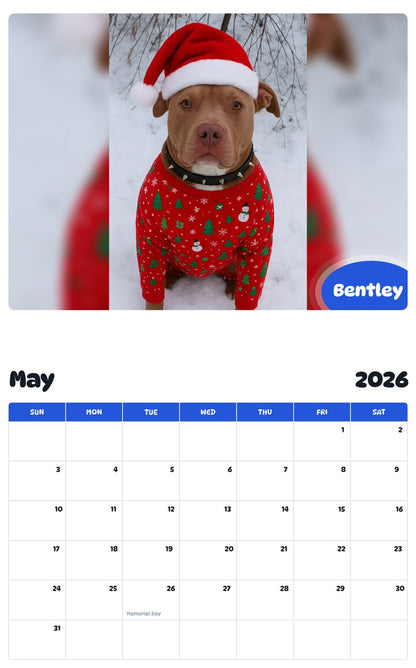 2026 - 2027 Bentley - Pawidols Pet Calendar