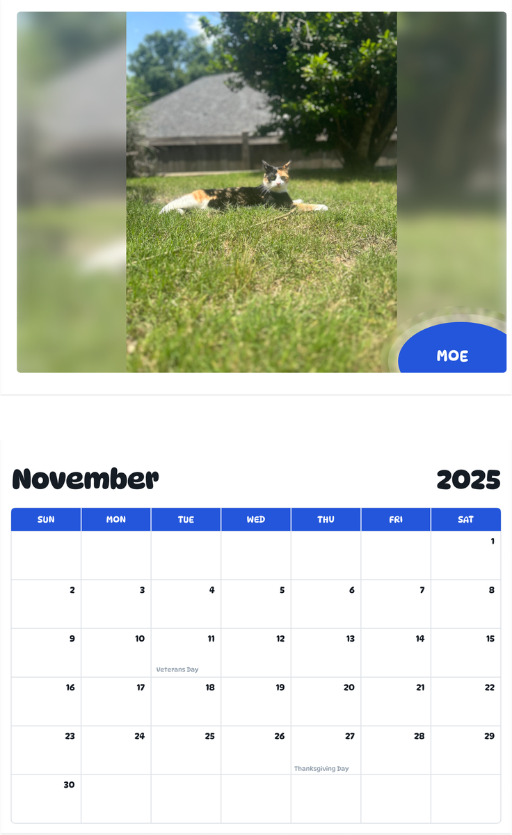 July 2025 - June 2026 moe - Pawidols Pet Calendar