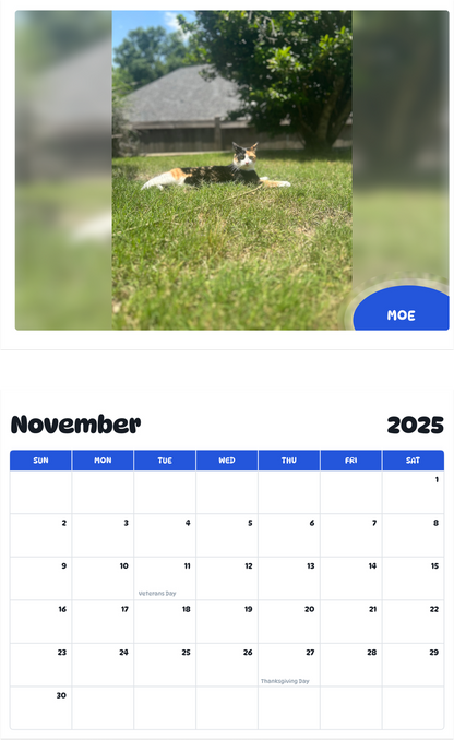 July 2025 - June 2026 moe - Pawidols Pet Calendar