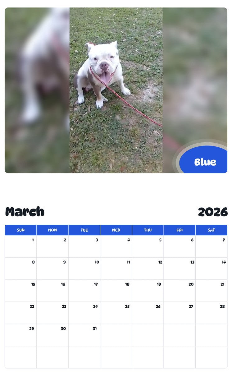 November 2025 - October 2026 Blue - Pawidols Pet Calendar