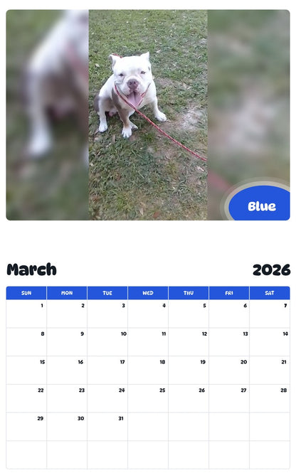 November 2025 - October 2026 Blue - Pawidols Pet Calendar