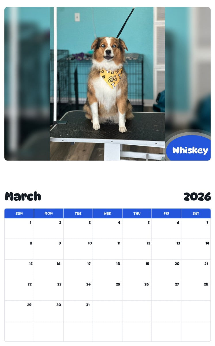 November 2025 - October 2026 Whiskey - Pawidols Pet Calendar