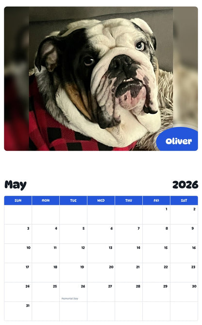 2026 - 2027 Oliver - Pawidols Pet Calendar
