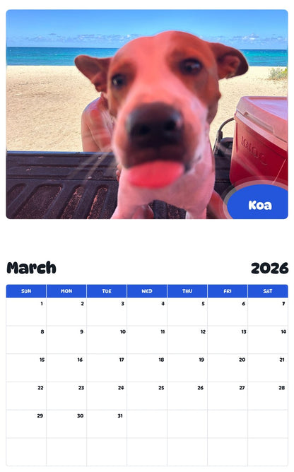 November 2025 - October 2026 Koa - Pawidols Pet Calendar