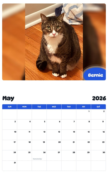 2026 - 2027 Bernie - Pawidols Pet Calendar