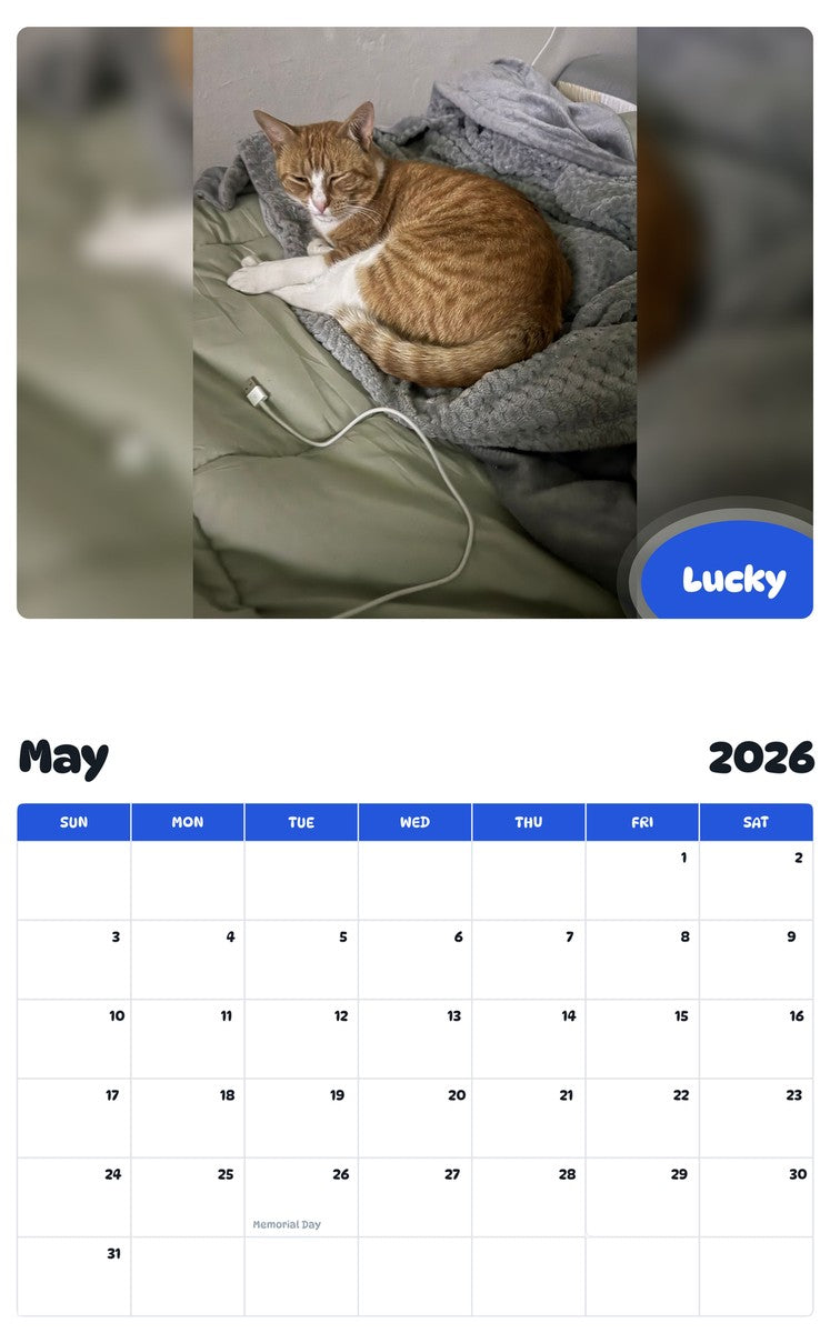 2026 - 2027 Lucky - Pawidols Pet Calendar