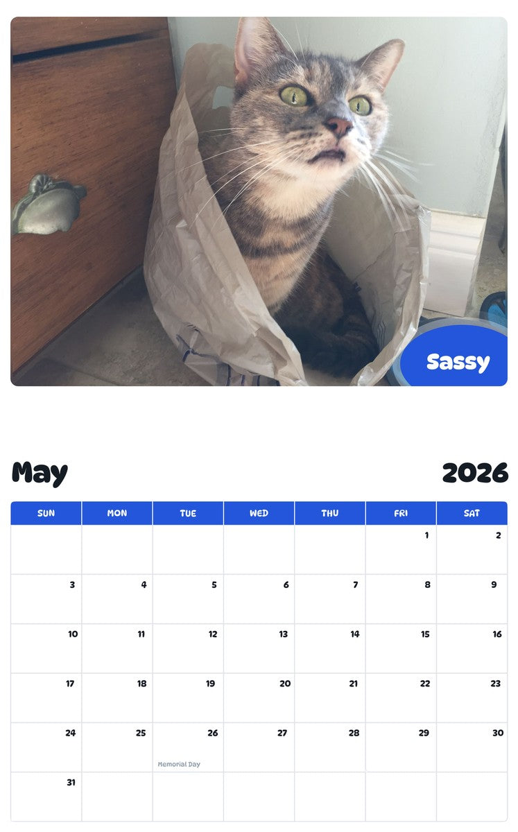 2026 - 2027 Sassy - Pawidols Pet Calendar