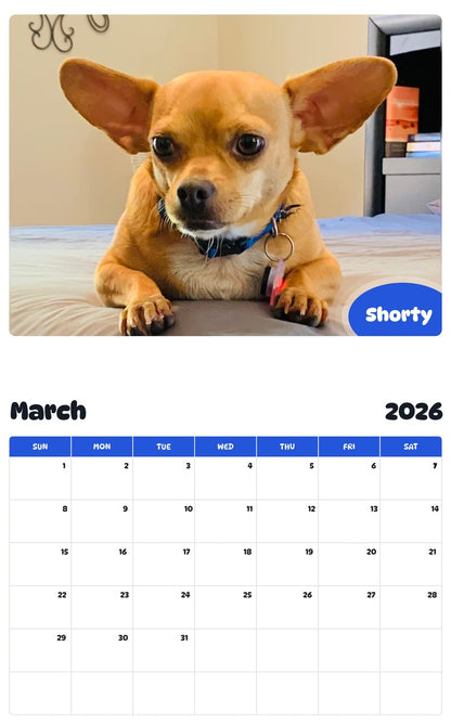 November 2025 - October 2026 Shorty - Pawidols Pet Calendar