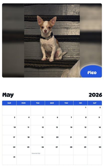 2026 - 2027 Pico - Pawidols Pet Calendar