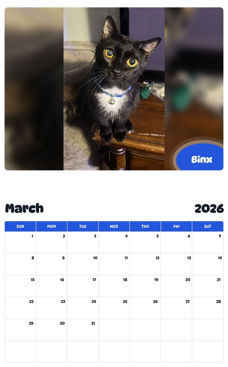 November 2025 - October 2026 Binx - Pawidols Pet Calendar