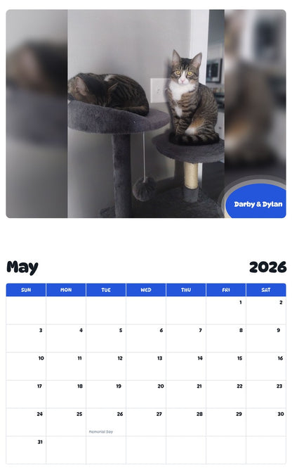2026 - 2027 Darby & Dylan - Pawidols Pet Calendar