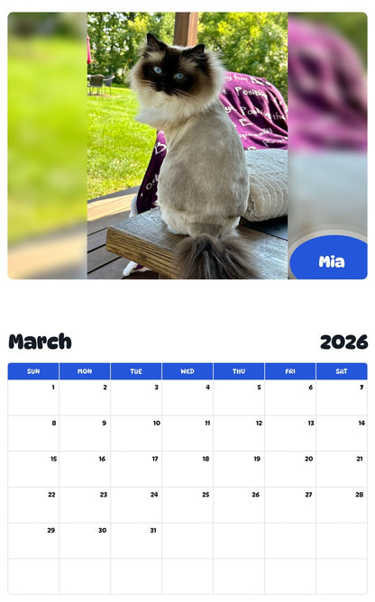 November 2025 - October 2026 Mia - Pawidols Pet Calendar