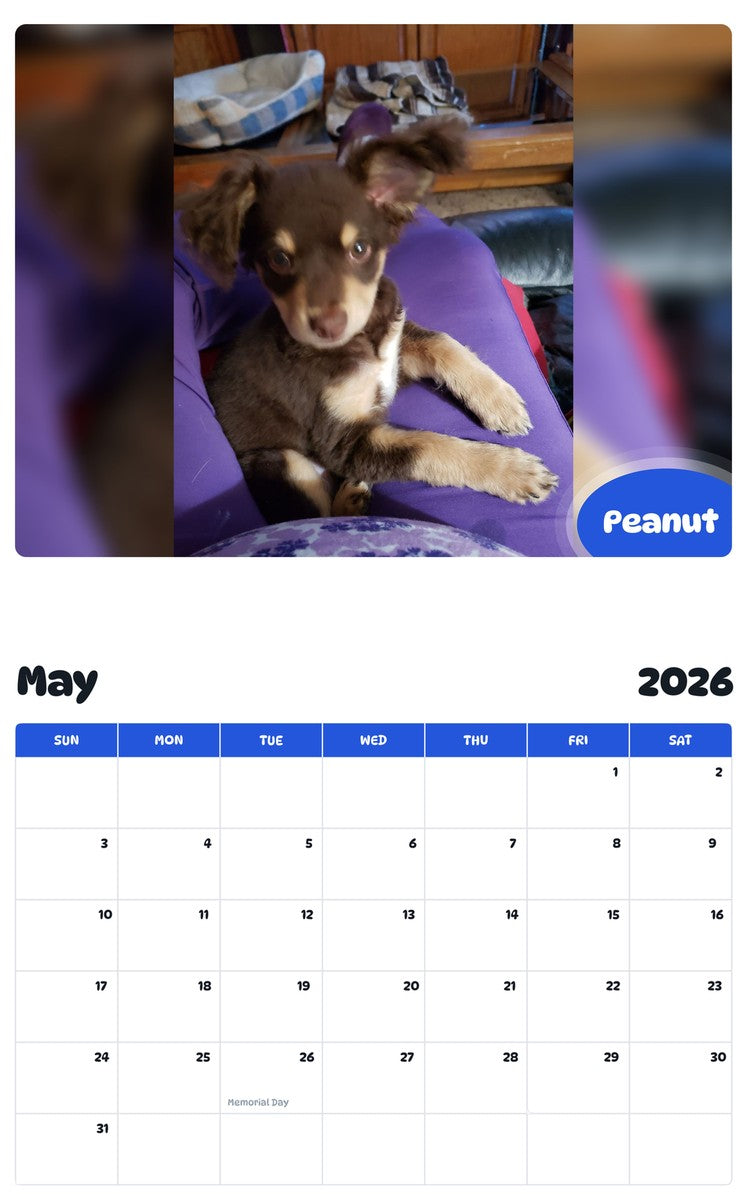 2026 - 2027 Peanut - Pawidols Pet Calendar
